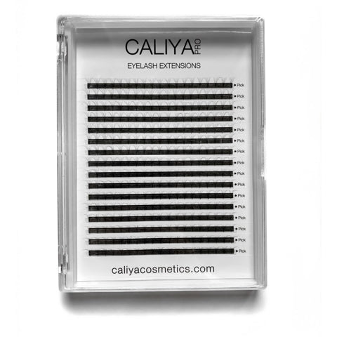 5D | C Curl | 0.07 | MEGA TRAYS | 304 fans | 100% Handmade Fans | Single length trays | From 7mm | Short Stem