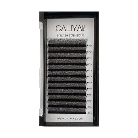YY | C Curl | 0.07 | 100% Handmade Fans | Single length trays | From 8mm | Short Stem
