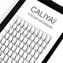 6D | D and C Curl | 0.07 | 100% Handmade Fans | Single length trays | From 8mm | LONG Stem