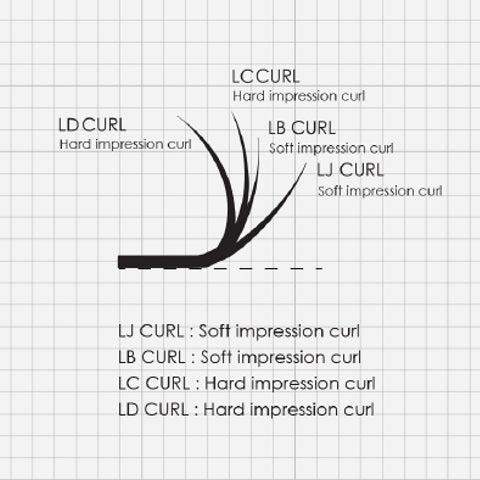 4D |  L Curl | 0.07 | 100% Handmade Fans | Single length trays | From 8mm | Short Stem
