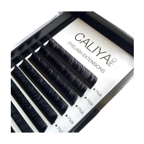 NEW | Camellia Lashes | 9mm-10mm-11mm staggered in each row | 12 rows | D Curl | 0.07