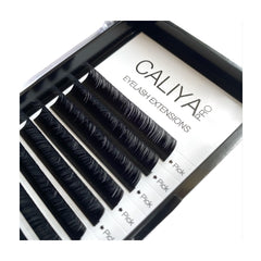 NEW | Camellia Lashes | 13mm-14mm-15mm staggered in each row | 12 rows | D Curl | 0.07