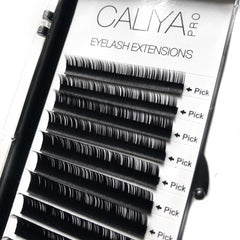 Mixed Lengths | 8-13mm | 12 rows | D Curl | 0.03