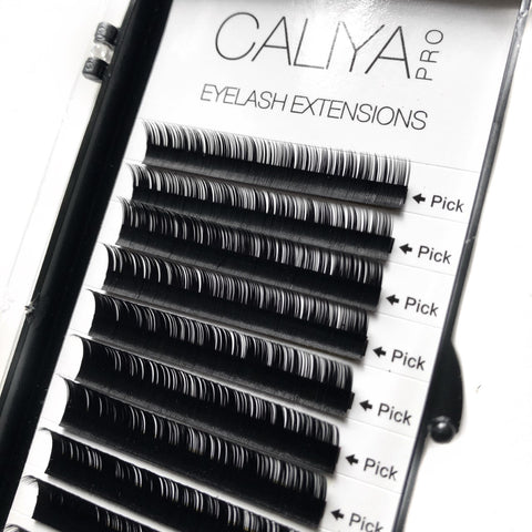 NEW | Camellia Lashes | 9mm-10mm-11mm staggered in each row | 12 rows | C Curl | 0.07